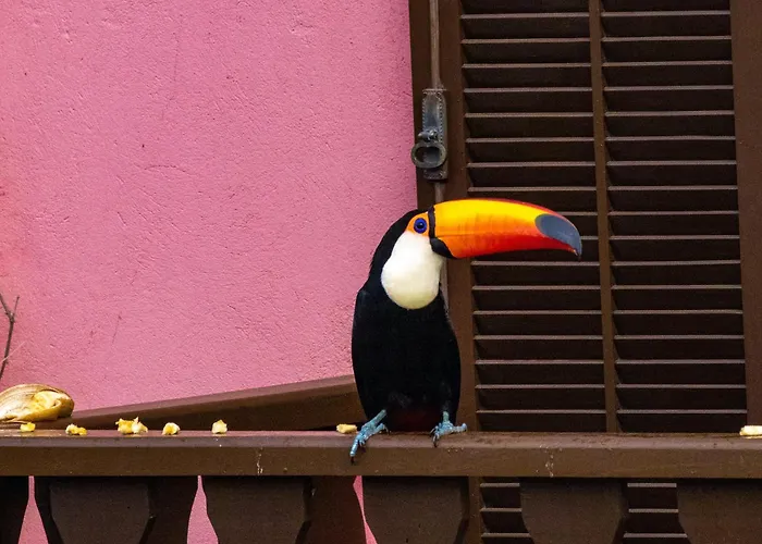 Pousada Encanto da Serra