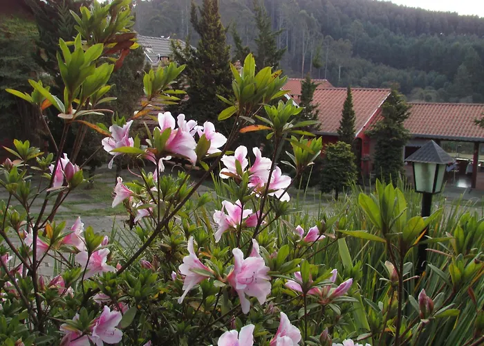 Pousada Flores da SerraPousada